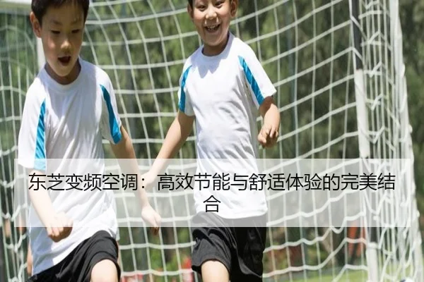 东芝变频空调：高效节能与舒适体验的完美结合