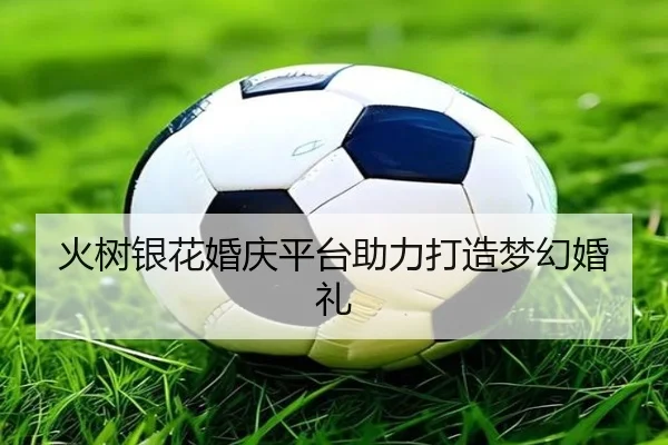 火树银花婚庆平台助力打造梦幻婚礼