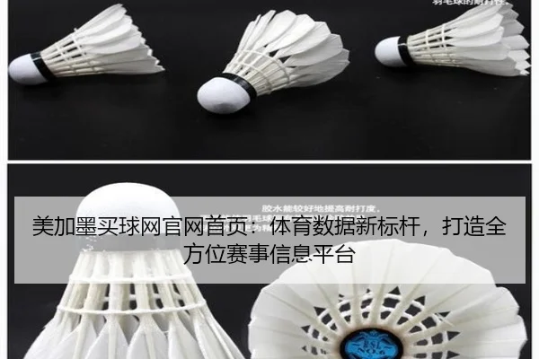 美加墨买球网官网首页：体育数据新标杆，打造全方位赛事信息平台
