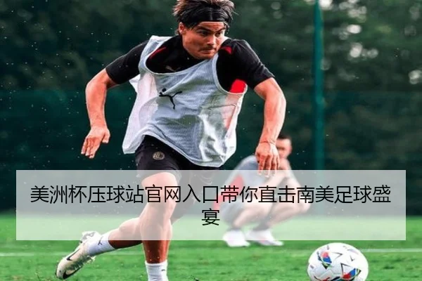 美洲杯压球站官网入口带你直击南美足球盛宴