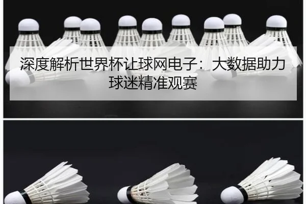深度解析世界杯让球网电子：大数据助力球迷精准观赛