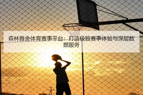 森林雅舍体育赛事平台：打造极致赛事体验与深层数据服务