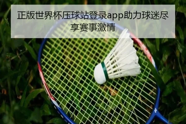 正版世界杯压球站登录app助力球迷尽享赛事激情