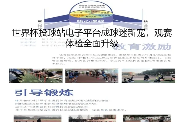 世界杯投球站电子平台成球迷新宠，观赛体验全面升级